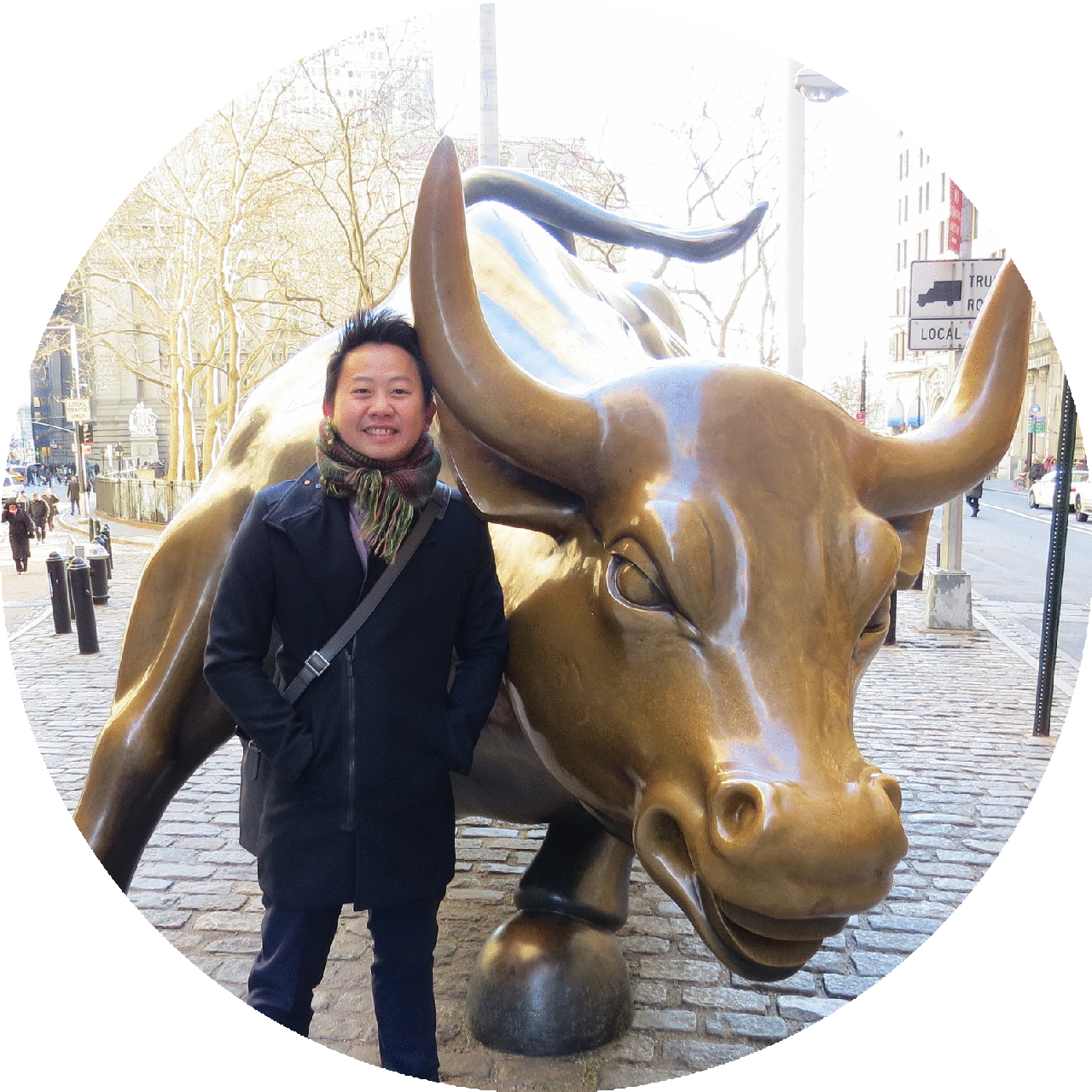 With the Wall St Bull